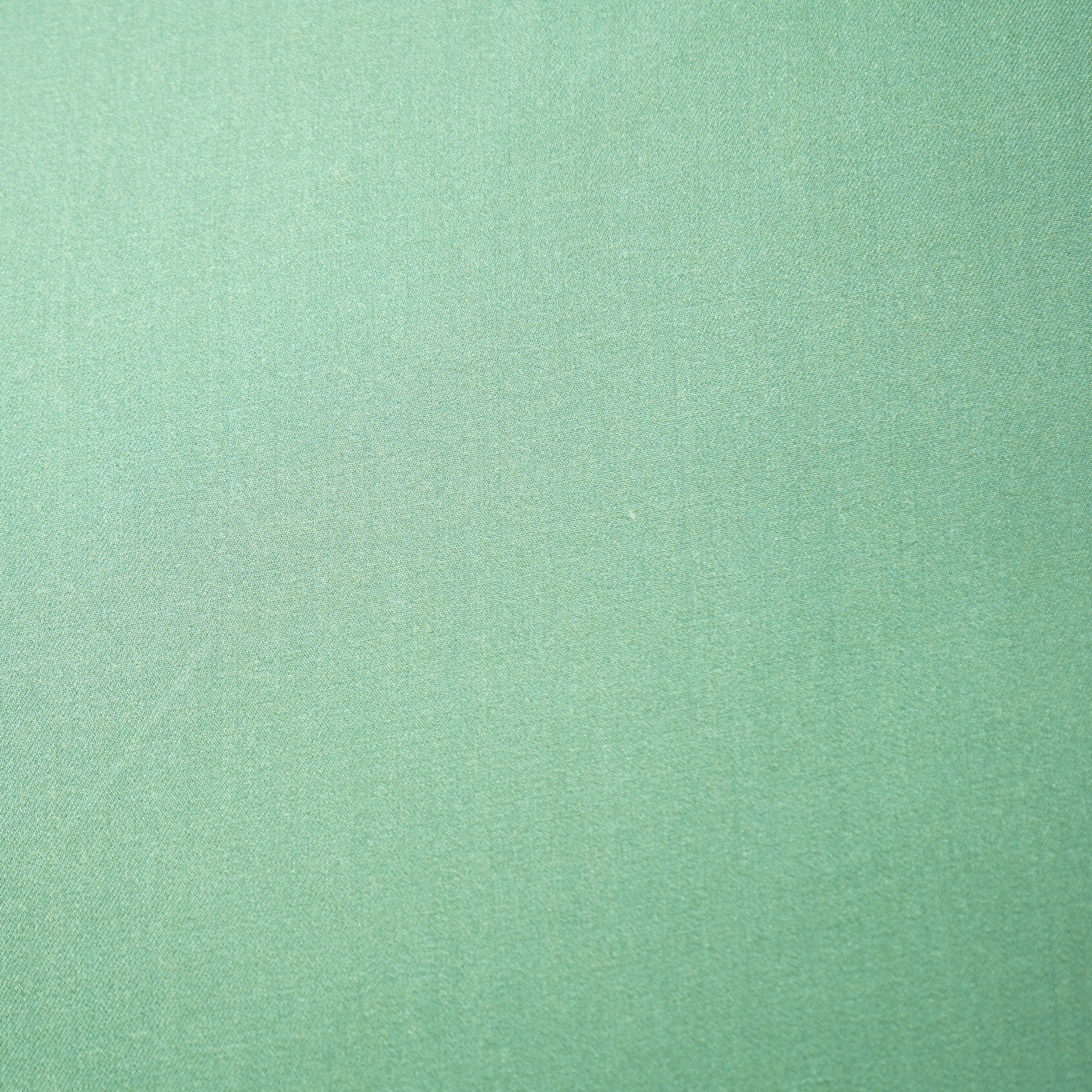 Sea Green Solid Pashmina Fabric