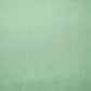 Sea Green Solid Pashmina Fabric