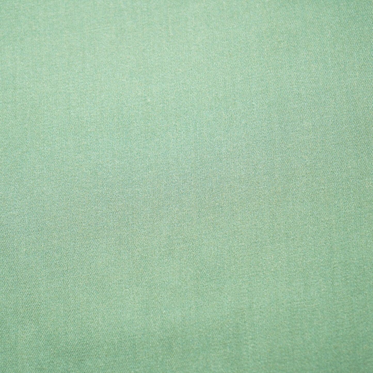 Sea Green Solid Pashmina Fabric