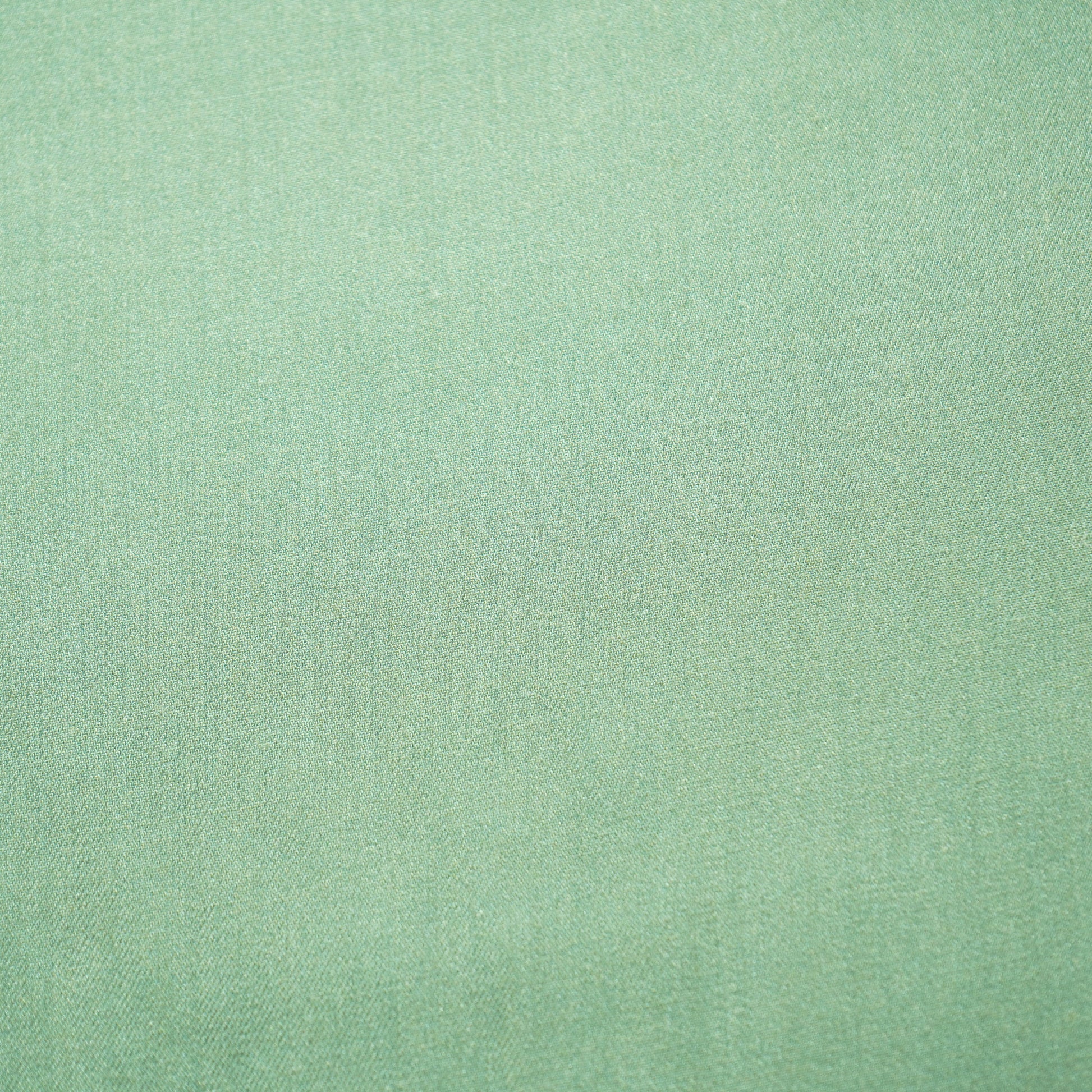 Sea Green Solid Pashmina Fabric