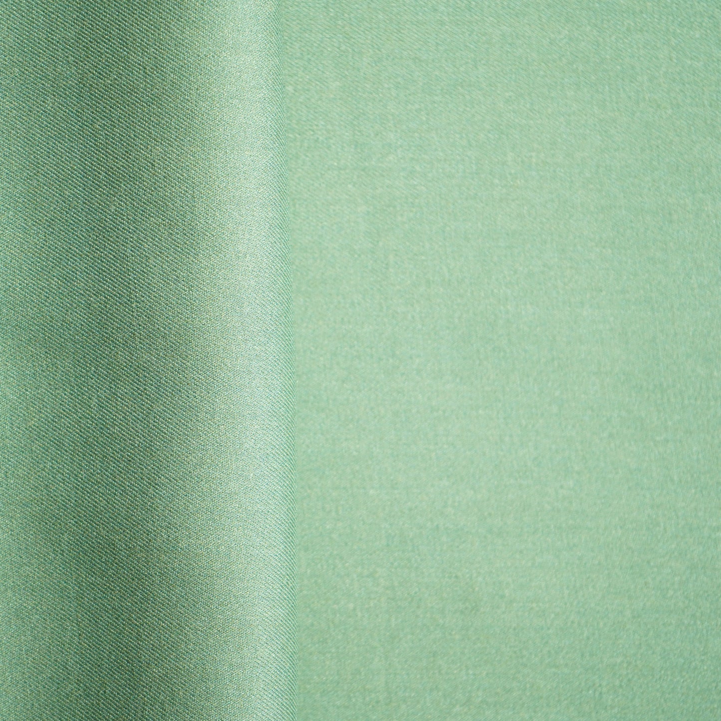 Sea Green Solid Pashmina Fabric