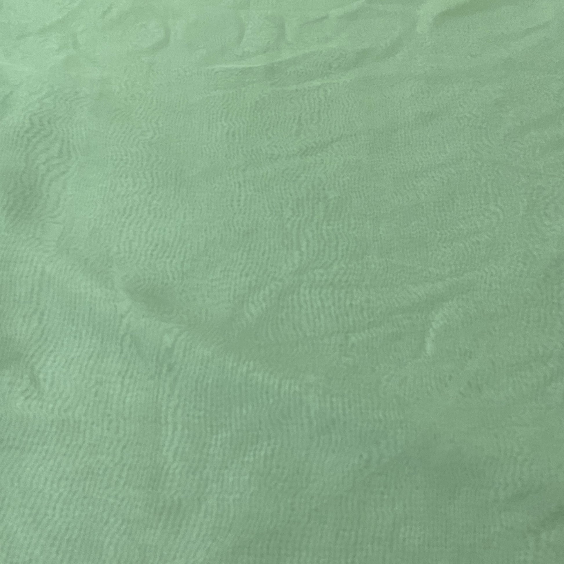 Exclusive Green Solid Organza Fabric